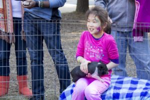 petting zoo fall festival