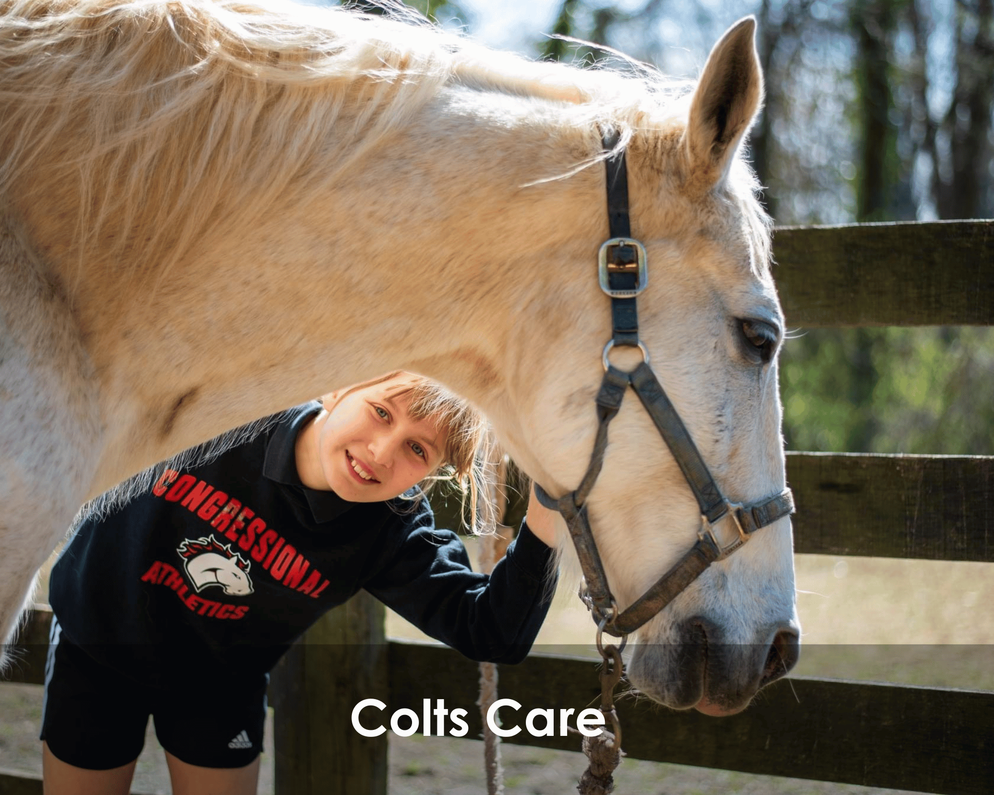 Colts Care is a social-emotional learning program providing an opportunity for small groups of middle school students to connect with our horses to learn how to care for them and build a connection. Interacting with animals has been proven to reduce stress and build empathy, and our gentle, friendly horses are perfect for this impactful program.